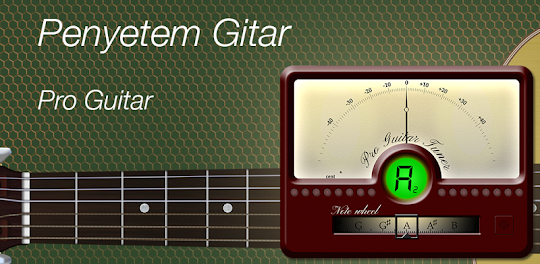 Penyetem Gitar - Pro Guitar