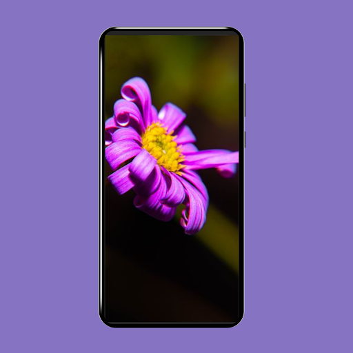 خلفيات ورد Screen 2