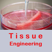 Tissue Engineering Quiz