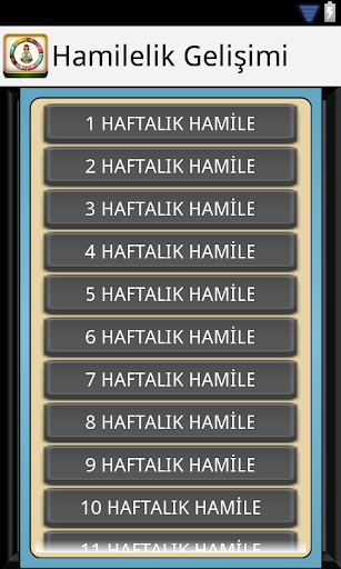 Hamilelik Gelişimi Hafta Hafta Screen 2