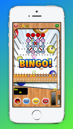 Android application Bingo Pinball Bowling Bingo screenshort