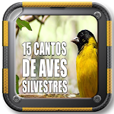15 Cantos de aves silvestres do brazil icon