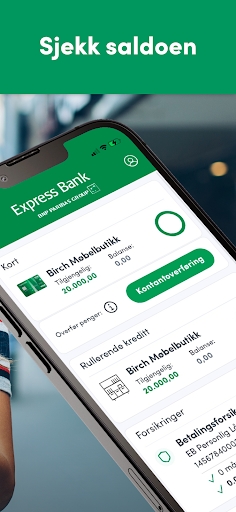 Express Bank Homebanking Screen 2