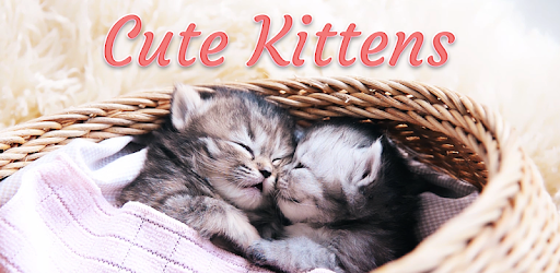 Kittens Keyboard Custom Theme