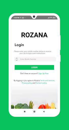 Rozanas Screen 2