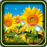 Sunflower Field live wallpaper icon