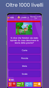 Immagine screenshot