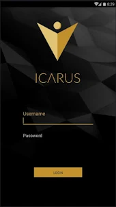 ICARUS SMS