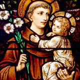 Buen san Antonio de Padua icon