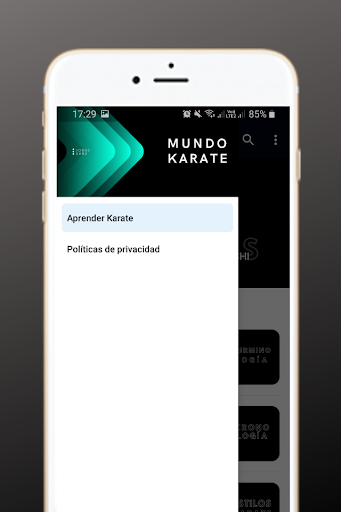 Aprender Karate en casa en Esp