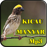 Kicau Manyar Masteran Mp3 icon