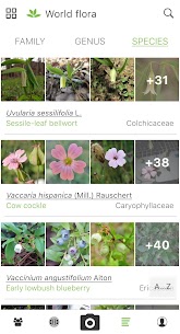 PlantNet Plant Identification 3.9.18 4