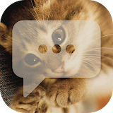 Cute Cat - Messaging 7 icon