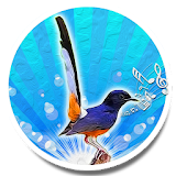 Bird Sounds Ringtone AZ icon