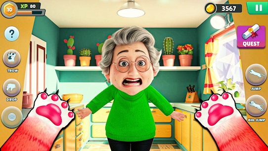 Angry Gran VS Naughty Cat Sim 2