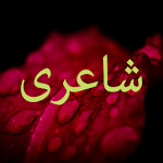 Cover Image of Download Urdu Poetry Offline  APK