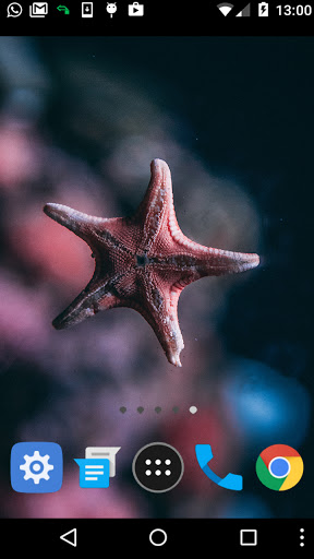 starfish wallpaper Screen 2