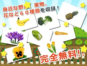 みんなの植物カード図鑑 幼児 子供向け 教育 英語 แอปพล เคช นใน Google Play
