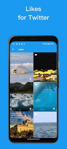Downloader for Twitter Videos Screen 2