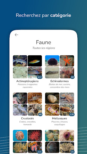 SeaLife: Explore la vie marine Screen 3
