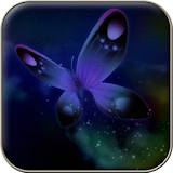 Butterfly Wallpapers icon