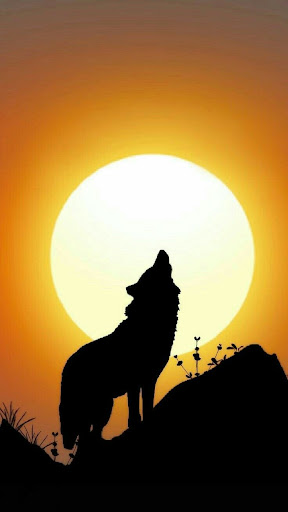 Black Wolf Wallpapers Screen 3