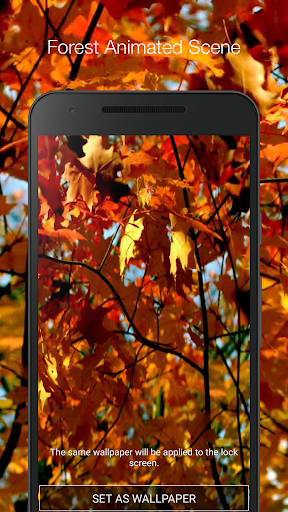 Autumn Forest Live Wallpaper Screen 2