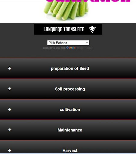 Asparagus Vegetable Cultivatio