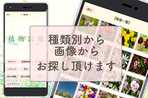 Download 植物 写真 名前 調べる 図鑑アプリ 観葉植物 サボテンの花 インテリア 多肉 花 ガーデニング Free For Android 植物 写真 名前 調べる 図鑑アプリ 観葉植物 サボテンの花 インテリア 多肉 花 ガーデニング Apk Download Steprimo Com