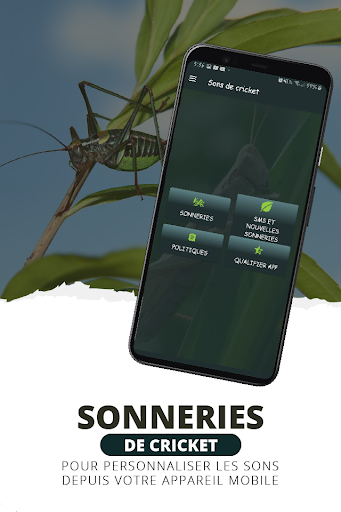 Aperçu de l'application