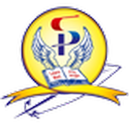 SP Modern School logo