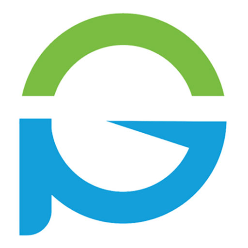 Go Pro Infotech logo