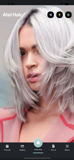 Atel Hair Screen 2