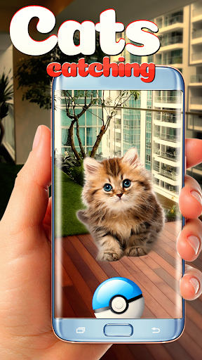 Android application Collect all cats! screenshort