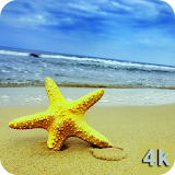 Beach Wallpapers 4K icon