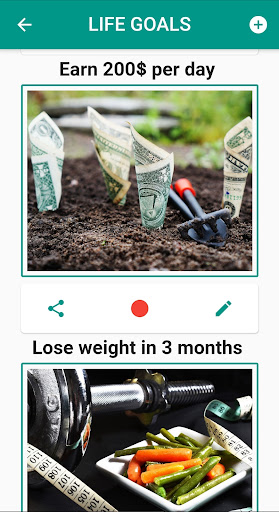 Life Wheel and Life Goals Screen 2