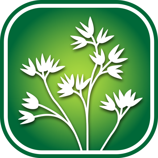 2450 Utah Wildflowers logo
