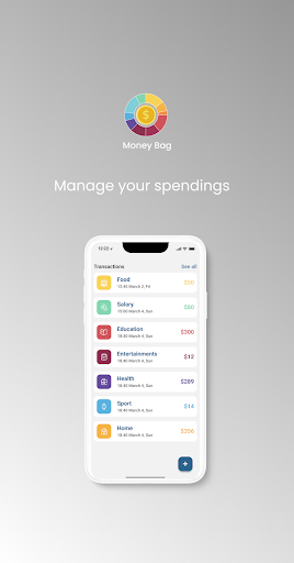 Money Bag Screen 3