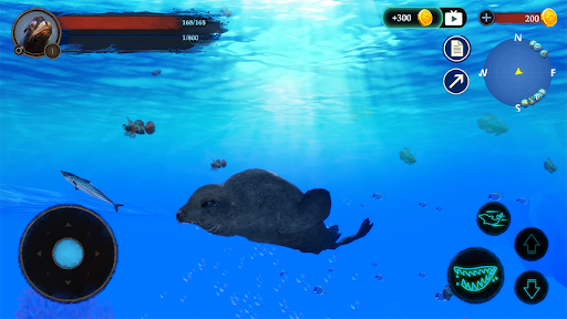 The Sea Lion screenshots 1