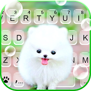 Fluffy Cute Dog Keyboard Background