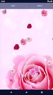 Spring Rose Live Wallpaper 6.8.0 APK screenshots 5