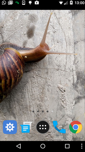 snail wallpaper Screen 2