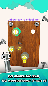 Bolts Nuts Plug Screw Puzzle