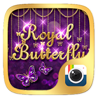 Z CAMERA ROYAL BUTTERFLY THEME