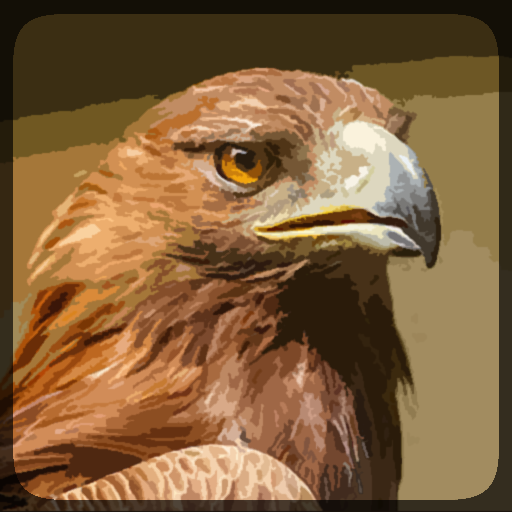 Eagle Hunting Journey - Ứng dụng trên Google Play