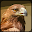 Eagle Hunting Journey Download on Windows