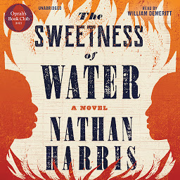 Image de l'icône The Sweetness of Water (Oprah’s Book Club): A Novel
