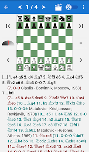 Botvinnik - Chess Champion