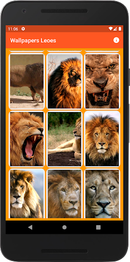 Wallpapers de Leões Screen 3