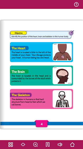 Integrated Studies Grade 2 Screen 3